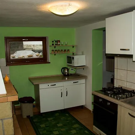 Zeleny Dom Guest house *