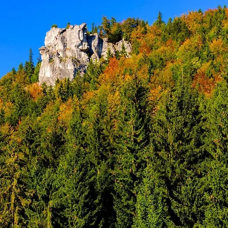 Gasthof Zeleny Dom *