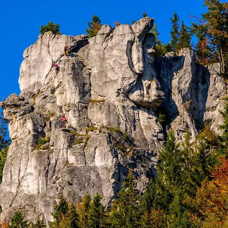 Gasthof Zeleny Dom Kralovany