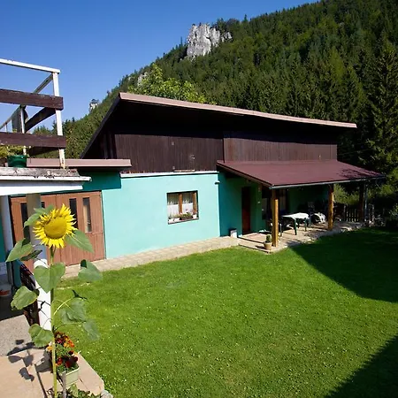 Guest house Zeleny Dom *